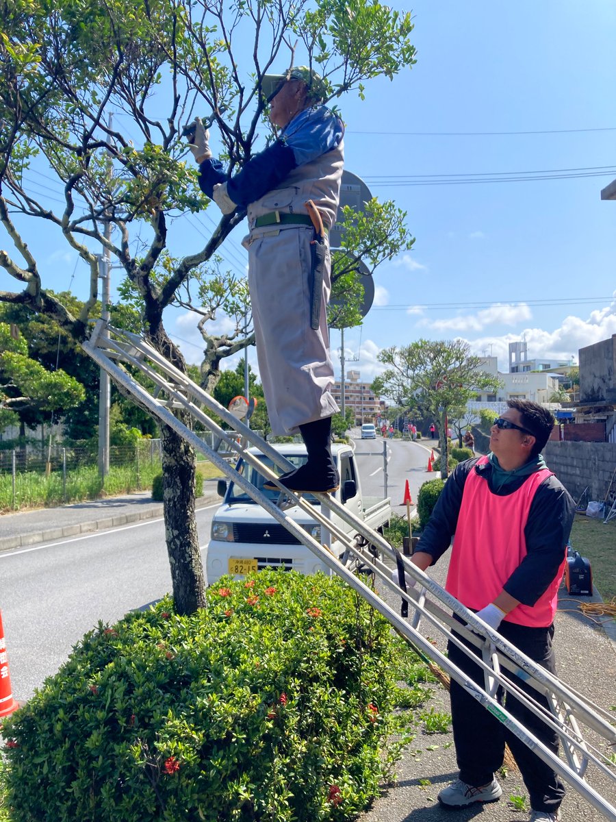 CFAOkinawa's tweet photo. 今日は嘉手納高校前の通り沿いにある黒木の剪定を、緑樹会の皆さんと一緒に行いました😊 暑い中、海軍のボランティアたちも一生懸命作業に取り組みました👏 緑樹会の皆さん、どうもありがとうございました。来月もよろしくお願いします！🙇🏻‍♀️
#USNavy  #米海軍 https://t.co/SwUxoB7JDO