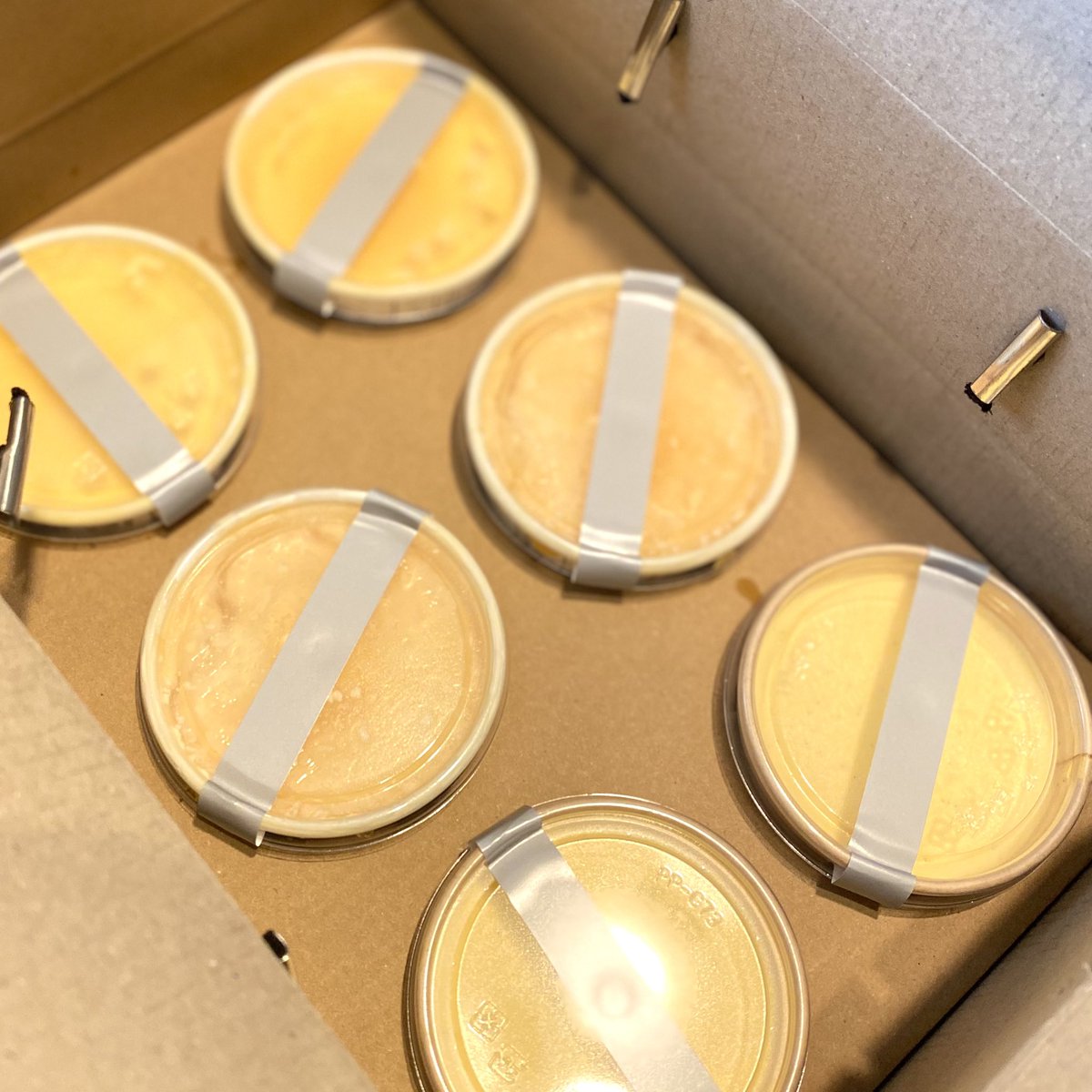 rikamama31's tweet photo. コエタス様の
モニターキャンペーンにて頂いた
PUDDING TIME様の
〻たまごプリン食べ比べBOX〻

どのプリンも濃い卵の味がしっかり！
同じ卵から出来ているのに
全然違う食感・味に驚く
素敵なプリンでした✧︎*。

#コエタス #PR
#プリンタイム #puddingtime 
#三重スイーツ https://t.co/scJNJxa83G