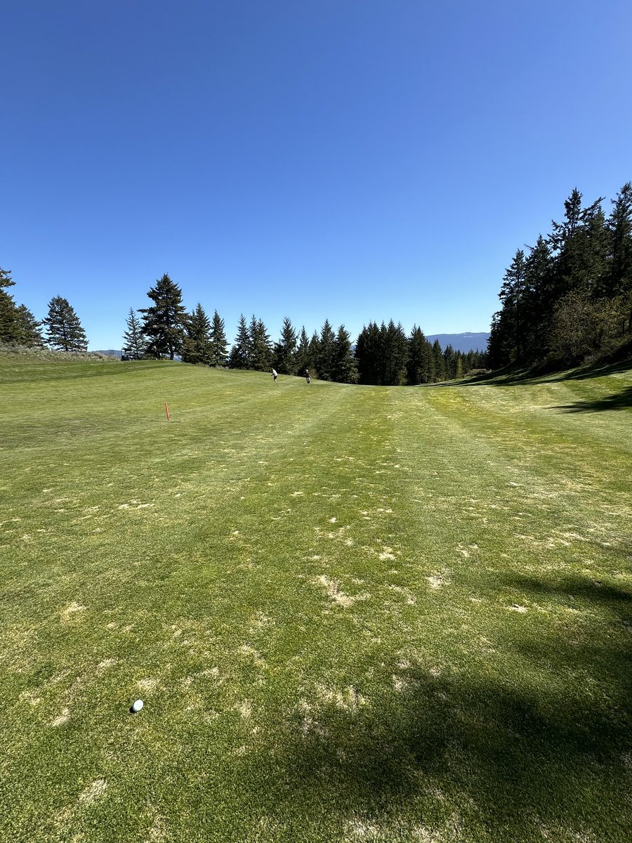 How many yards did I out drive him?🤣 First round of the year, no practice swings at the range or practice putts. Shot an 85, no complaints at all.