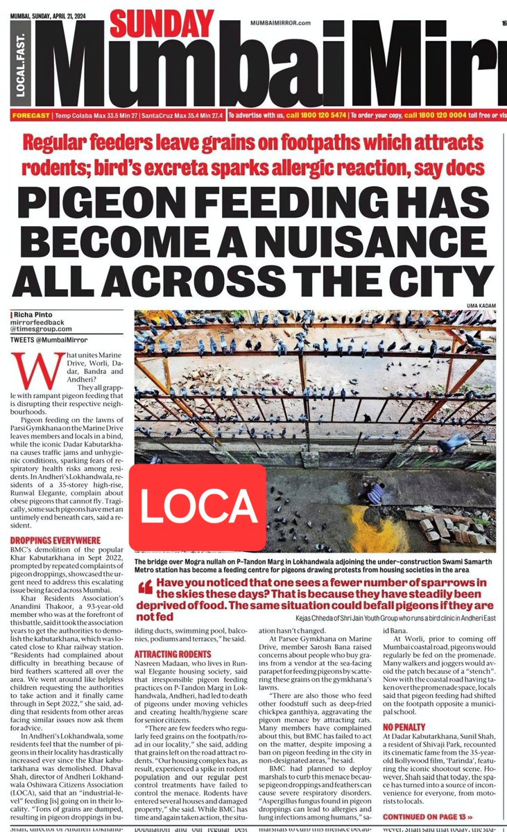 AndheriLOCA's tweet photo. .@mumbaimirror covers citizens concerns on large scale #pigeon feeding in #Andheri
📰 @richapintoi
BMC ought to come down heavily on such spots
& shut it so that pulmonary disease spread due to droppings can be curtailed

@saumyatandon
@Divyanka_T
@AskDrShashank
@Atulysharma
@atulmohanhere 
@Bytesofnews 
@Anujalankar9
@savitha_rao
@jkd18
@DoctorLFC
@amitsurg
@ranjjatwork
@drmonicajagtap