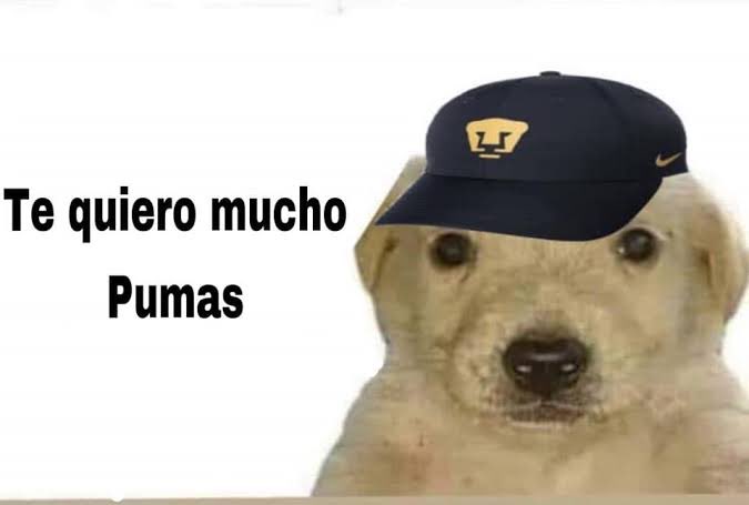 @PumasMX @Telcel ¡CÓMO NO TE VOY A QUERER!