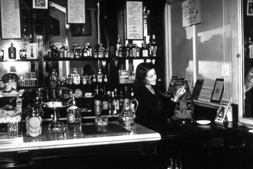 The Hole in the Wall ’pub' on the westbound platform of Sloane Square station with its ‘buffet cat’ called Kim. It was open to passengers but also the general public if they purchased a platform ticket. It closed in 1985. Photo John F. Stephenson, 1938.