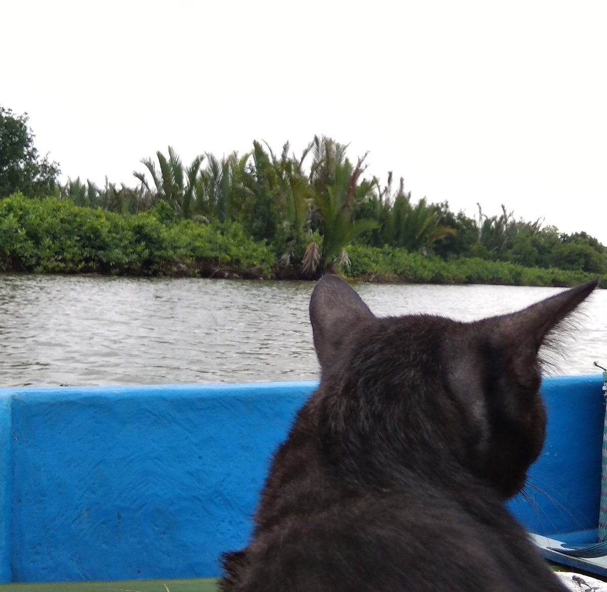 tmi ocay abis ikutan naik perahu