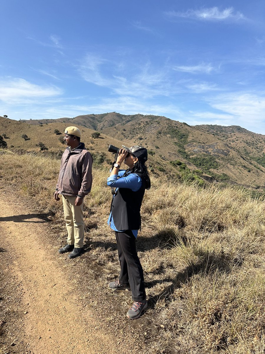 On the trail of Tahr ... Nilgiri Tahr #ProjectNilgiriTahr #NilgiriTahr #Fieldvisit