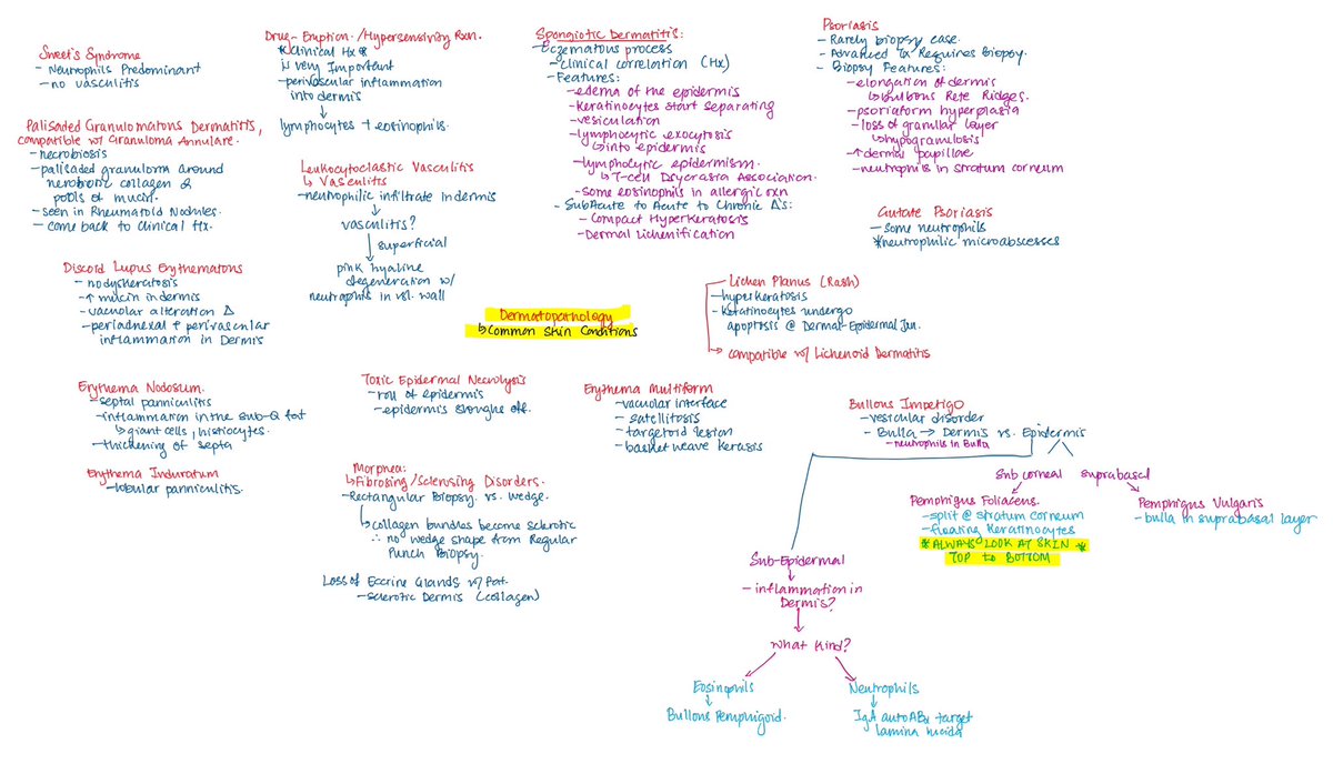 RishaKhatri's tweet photo. Dermatopathology Review with Dr. Rajendra Singh - Day 1 of Whole Slide Imaging - Review Course by the Digital Pathology Association @dpatweet #DPATweet #DermPath #Pathology #PathX #PathTwitter https://t.co/SNdEmMKzuy