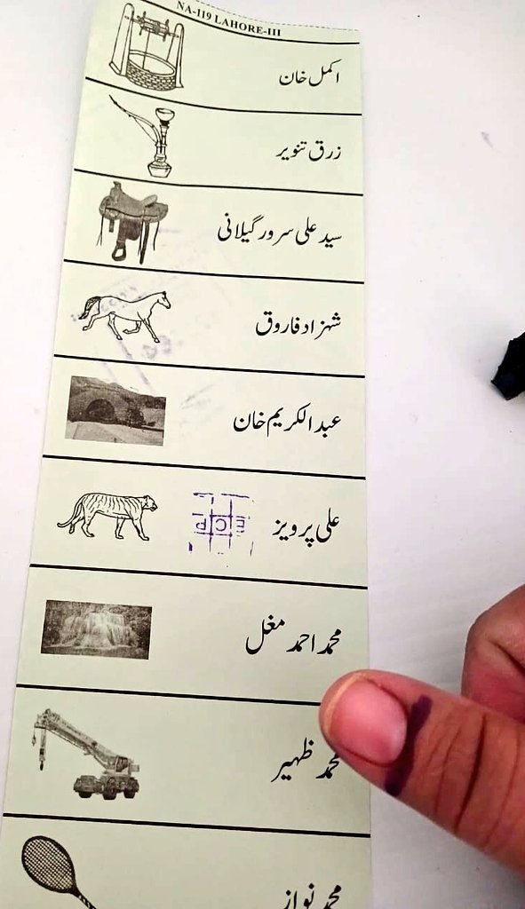 MianAbbasPmln1's tweet photo. الحمدللہ شیررررر https://t.co/lAbK4cXhTC