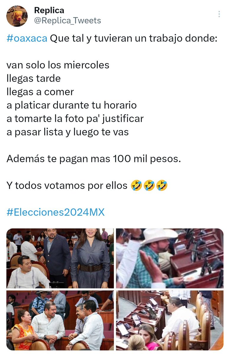 #oaxaca Hoy los mismos iniciaron campañas a #diputados, todos felices y contentos por otra beca de 3 años; reitero el llamado a analizar su voto, pues vividores y zánganos, están preparados para calentar curul
@PartidoMorenaMx @PRIOaxaca_ @AccionNacional @PRDMexico