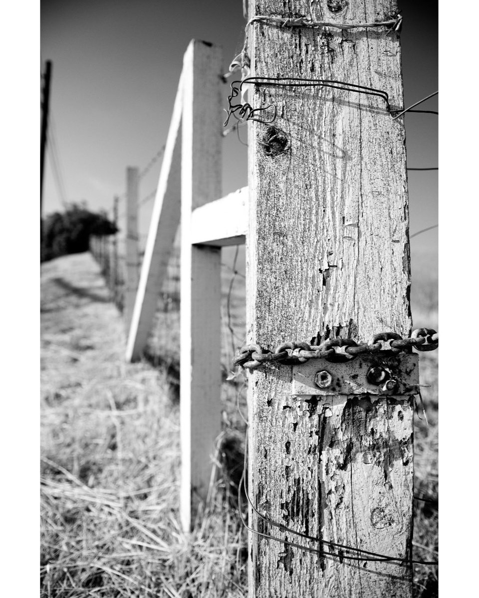 LazySomm's tweet photo. Kusari
#randomphotography #sonyd700 #kusari #chain #写真 #photography #スナップ写真 https://t.co/sVopnLzdu1