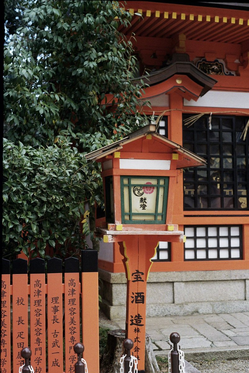 _lilflo's tweet photo. Japan 2024 on #kodakgold https://t.co/KboeR8Gh1E