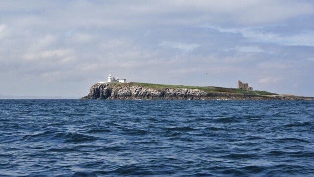 Apr 21: Feast of Æthelwold of Farne (†699), hermit. Monk and priest of Hrypis (Ripon) who succeeded Cuthbert in the Inner Farne hermitage in 687. Also March 23. ©Paul Buckingham