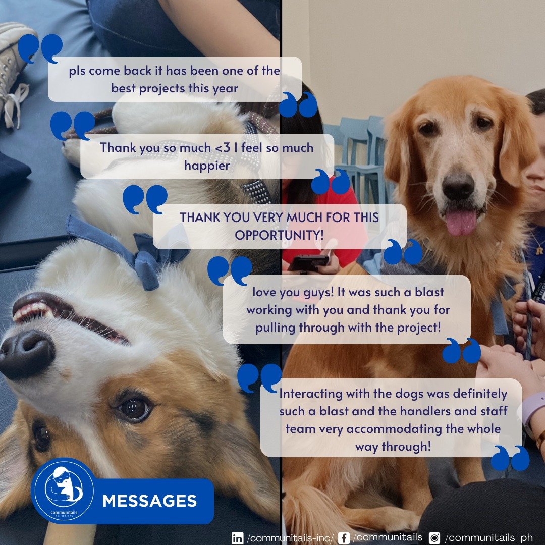 No reward can ever be greater than how we make our participants feel in the end 💙🐶✨

#animalassistedservices #animalassistedsupportwork #therapydogs #communitails #mutualhealing #healingismutual #ateneoseniorhsxcommunitails