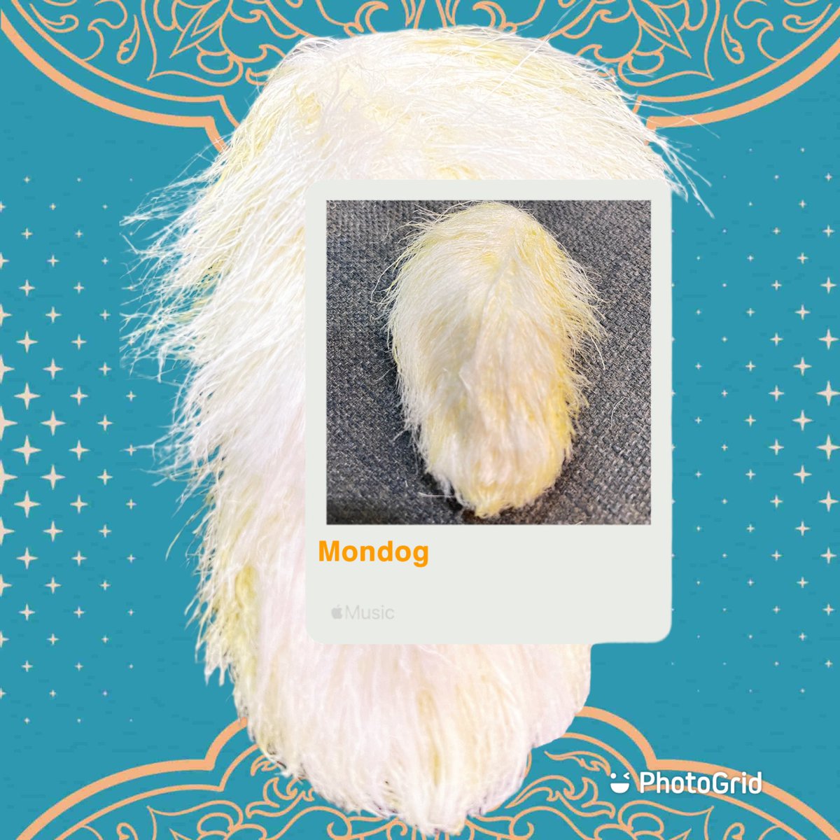 isilanne's tweet photo. My mondog 🥭
昨晚San值好低。
剛好家人拿出土芒果🥭,吃完發現這個土芒果毛好漂亮欸!
然後就給他抓去洗澡🛁🧼
再洗洗髮精、潤髮乳。擦乾後吹乾,上髮油!
然後梳一梳放在除濕機上烘一晚
噠啦✨✨🥭✨✨
今天聞起來是洗澡完香香狗狗🐶
芒果轉化芒狗成功✨✨
#mondog https://t.co/FUBa8gtLU7