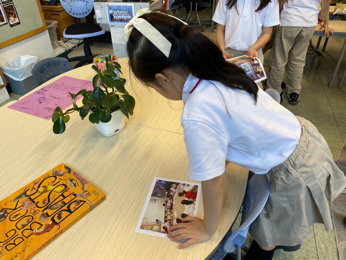 RebeccaTupling's tweet photo. Before any #UOI #summativeassessment I like to set my students up for #sucess. This time I asked them to place photos, learning engagements and books from the unit on a time line to review the learning that occurred. #pyp @ibpyp #cdnisls https://t.co/6QNG79WAki