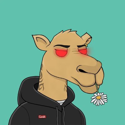 Lexioryn tweet media