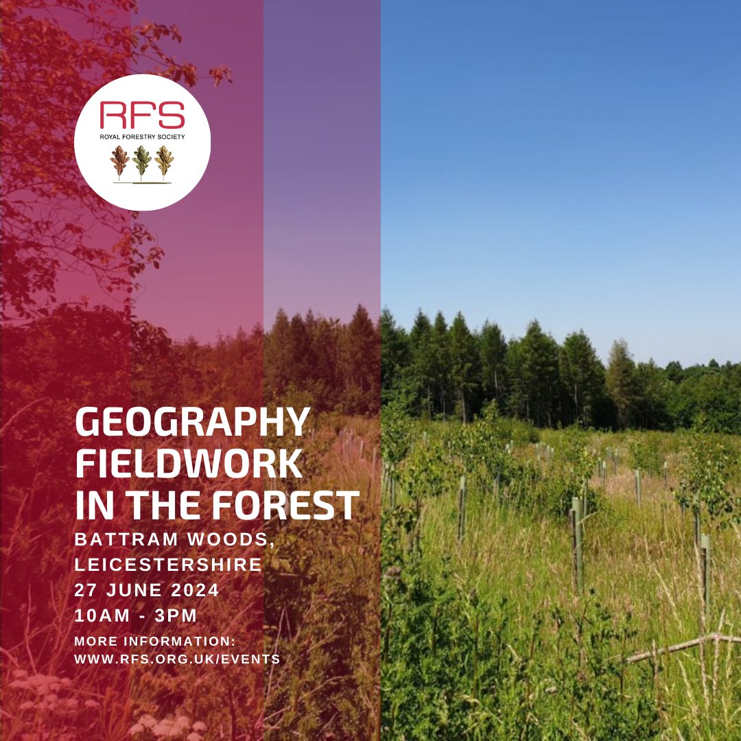 As part of @The_GA 's 'National Festival of Fieldwork, the RFS Education team are heading to Battram Woods! 7/6/24 LE67 1GA Book your place to join them and boost your skills! rfs.org.uk/events/geograp… #ForestFieldwork #NationalFestivalOfFieldwork #OutdoorEd #GeographySkills