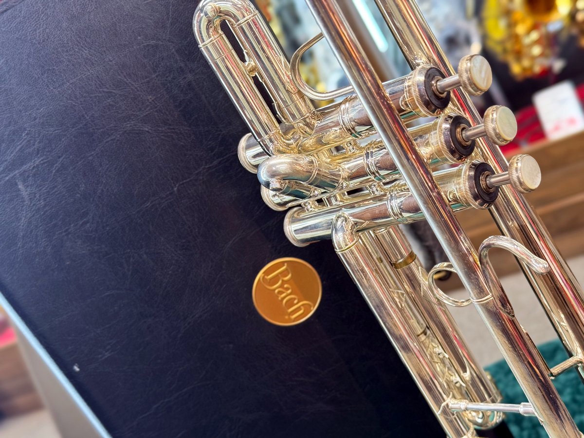 kurosawawind_YH's tweet photo. 本日 #トランペット を買取させて頂きました!!🎺
* V.BACH(#バック)
* 180ML37SP
メンテナンス完了次第店頭に並びますが、
気になった方はぜひお早めにお問い合わせ下さい♪
#クロサワウインド横浜店
TEL / 045-317-3711
MAIL / yokohamawind@kurosawagakki.com
#中古 #管楽器 #買取 #横浜 https://t.co/FcqcW4moUR