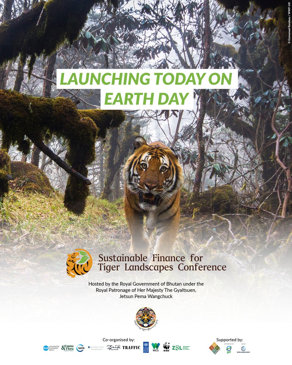 Happy Earth Day! We’re celebrating the opening of the Sustainable Finance for Tiger Landscapes Conference in Bhutan where we’re launching the ambition to raise US$1 billion for over 10 years of tiger habitat preservation! Join the cause. #investintigers #tigerfinance