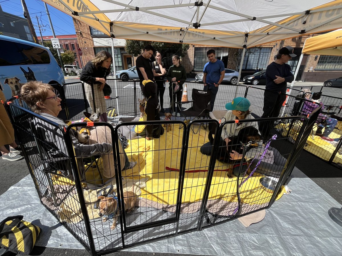 Cilla168's tweet photo. Supporting my favorite nonprofit, Muttville 🐶 Honoring my mom’s 8th year anniversary today 🌈 Next event will be hosting a community pantry 👩🏻‍🌾 @united @Auggiie69 @jonathangooda @Tobyatunited @MikeHannaUAL https://t.co/sCCI4LCAV0