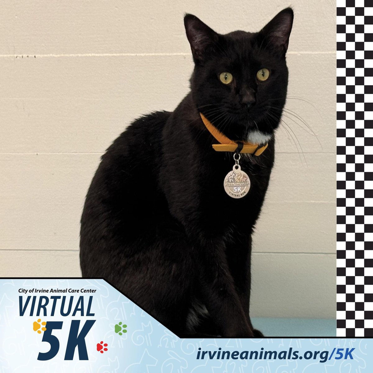 It’s not too late to join @IrvineAnimals’ Virtual 5K! 👟Choose your own pace and complete your 3.1 miles anytime, anywhere in April. Every mile counts toward supporting the center’s vital programs that care for homeless, neglected & abused animals. ℹ️ bit.ly/4b02K8H