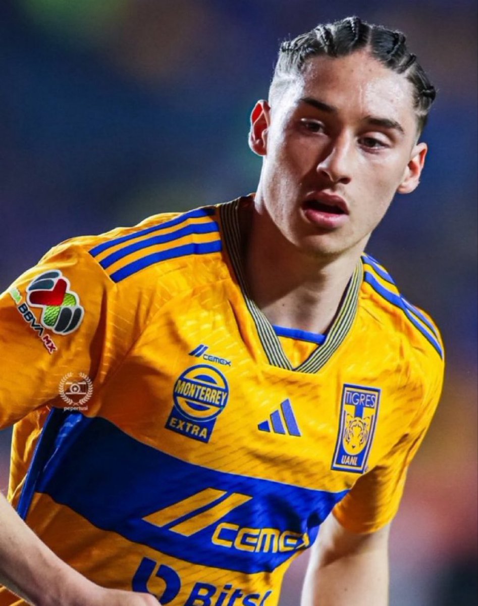 Marcelo Flores se une a la Lista de Alfredo Jiménez, Juan Manuel Azuara, Tomás Boy, Antonio Piña, Horacio Rocha, Javier Lozano y Alberto Acosta, como los únicos jugadores MEX🇲🇽 de @TigresOficial en anotar Un Triplete en la BANANERA 
#DatoSalazar
Prox LEYENDA 🐯🐯