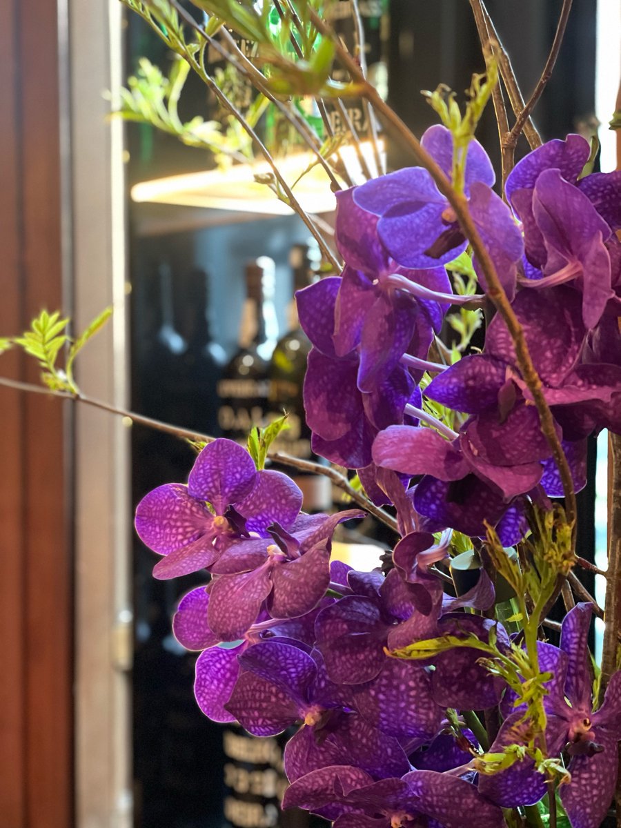 今週のフラワーアレンジメント🌼 ・バンダ・ブルー(蘭) ・ナナカマドの枝 紫色が美しく、バーを彩ります☺️