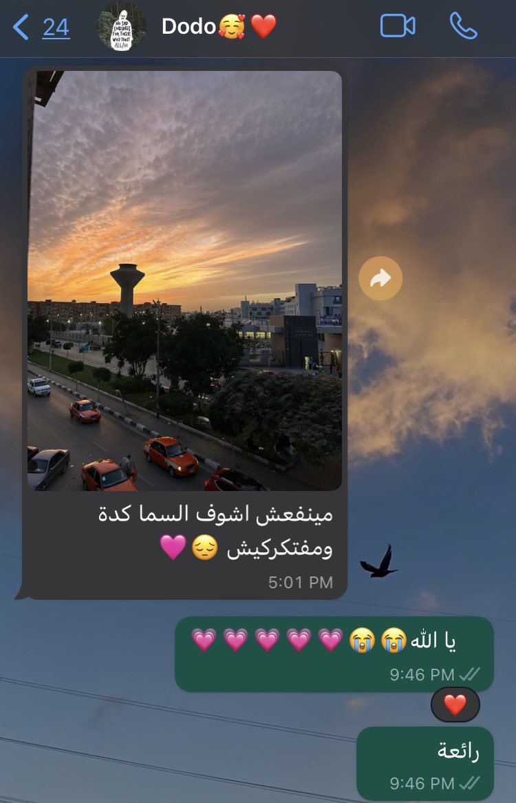 كل مرة الموضوع ده بيلمس قلبي بشكل كبير بجد😭♥️