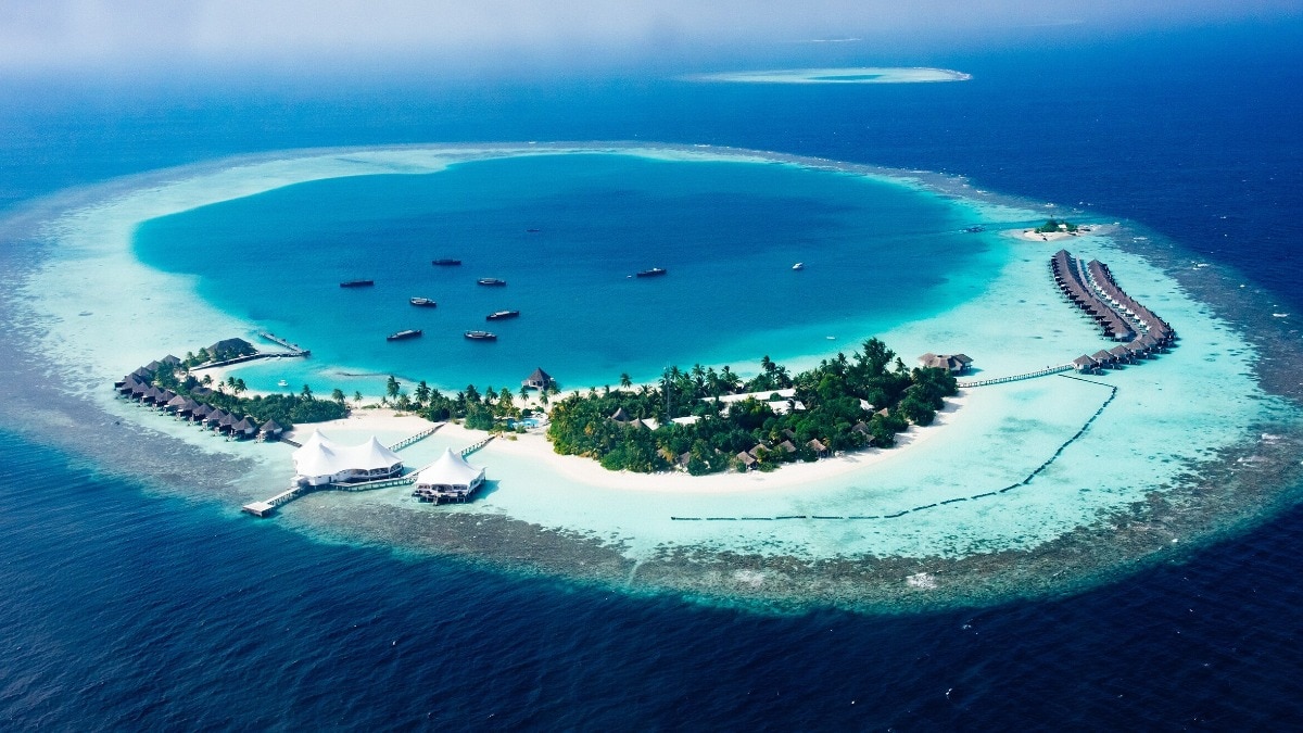Maldives feels the heat as 'India Out' campaign results in a 38% drop in Indian tourism. Derogatory remarks against PM Modi lead to backlash and boycott. #Maldives #IndiaOut.