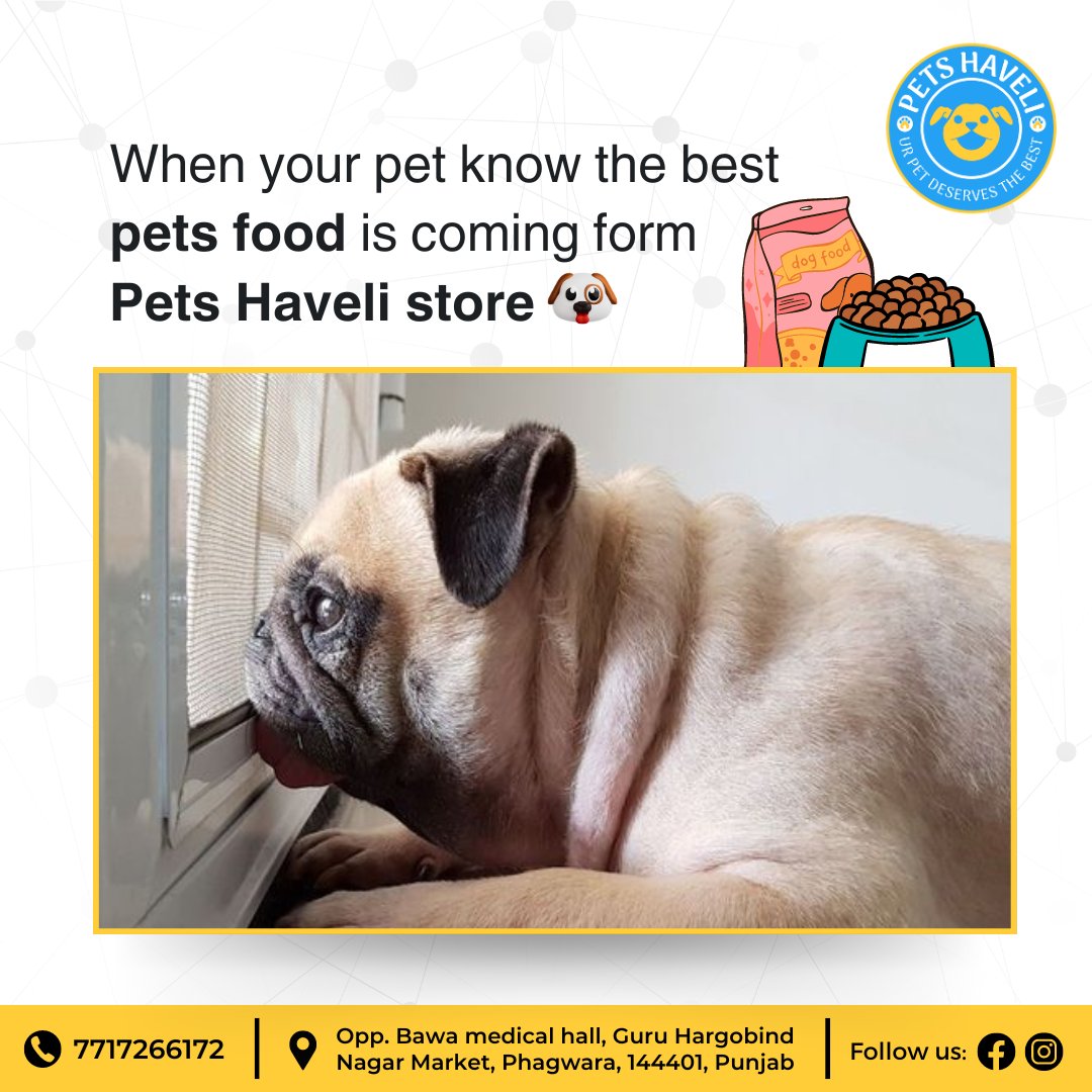 When your pet know the best 𝐩𝐞𝐭𝐬 𝐟𝐨𝐨𝐝 is coming from 𝐏𝐞𝐭𝐬 𝐇𝐚𝐯𝐞𝐥𝐢 𝐬𝐭𝐨𝐫𝐞

#meme #petsmeme #Petshaveli #Phagwara #Punjab #petstore #petshop #pets #petaccessories #petsupplies #petcare #petproducts #shoplocal #catfood #meme #Cats #shoppingday