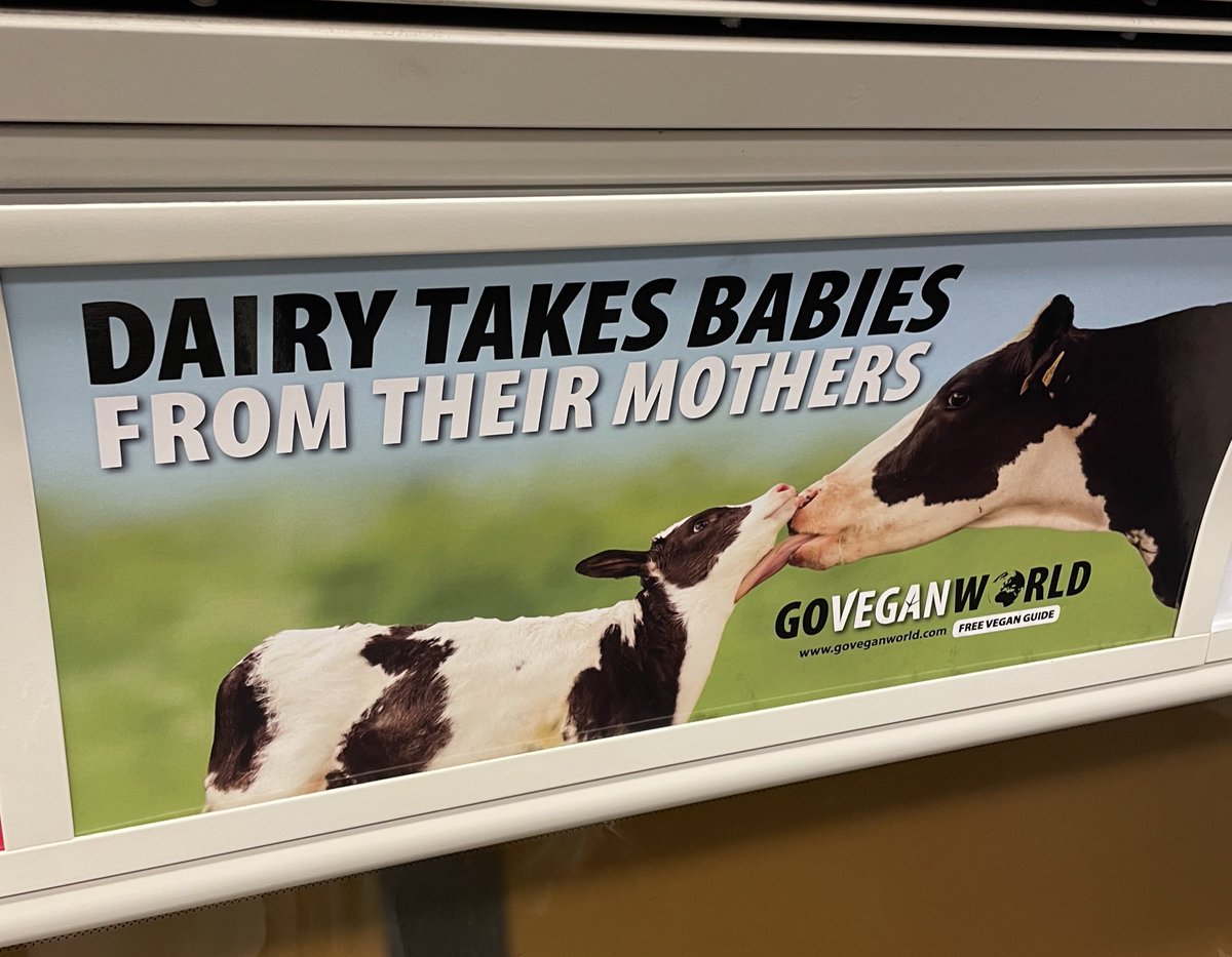 Spotted on the Bakerloo line 🚆 “Dairy takes babies from their mothers.” It’s so weird the way that humans fetishise something produced by a mother from another species, that is perfect for growing her infant calf into an adult. Hey @GoVeganWorld2 👋🏼 #GoVegan #Vegan