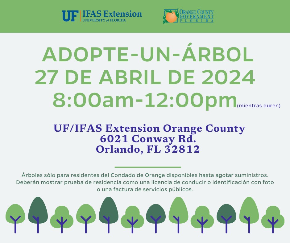 🌳 You can #AdoptATree at the @IFASExtCentral - UF/IFAS Extension, 6021 S. Conway Rd., Orlando, @OrangeCoFL Dist. 3, on Sat. 4/27, 8am-noon! A variety of trees will be available. Proof of county residency required. 👉 Details: bit.ly/4akSN5F @OrangeCoParksFL