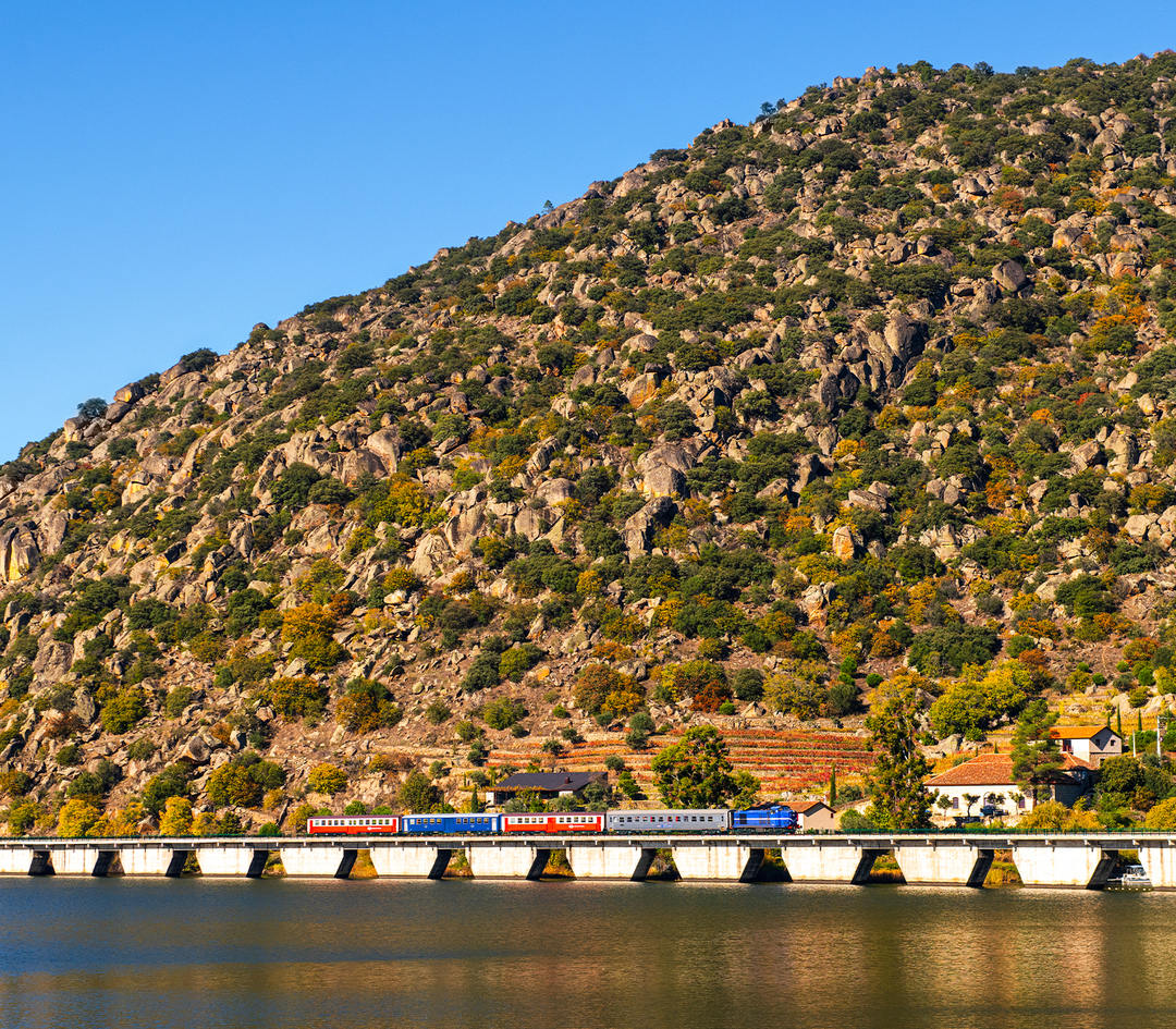 How many dreams can you fit into a scenic train trip? 💚 As many as you can find along the Porto-Régua-Pocinho route, amid the landscape classified as a UNESCO World Heritage Site. Who would you like to take this trip with? 👇 Tag in the comments.