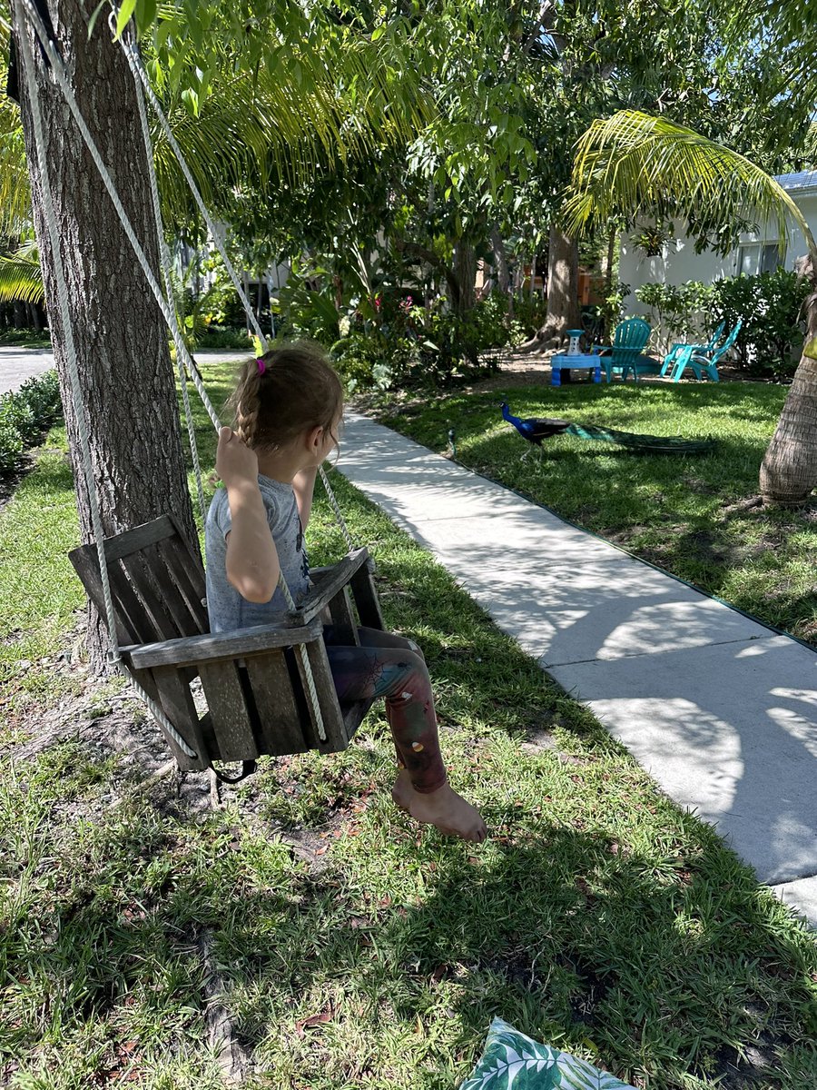 We had a fun time knocking on doors in Coconut Grove. Vote for Gustavo Ortega for School Board District 3 on August 20th. #SchoolBoard #MiamiDade #Education #CoconutGrove @MiamiDadeSchoolBoard @CoconutGroveNews @MiamiHerald