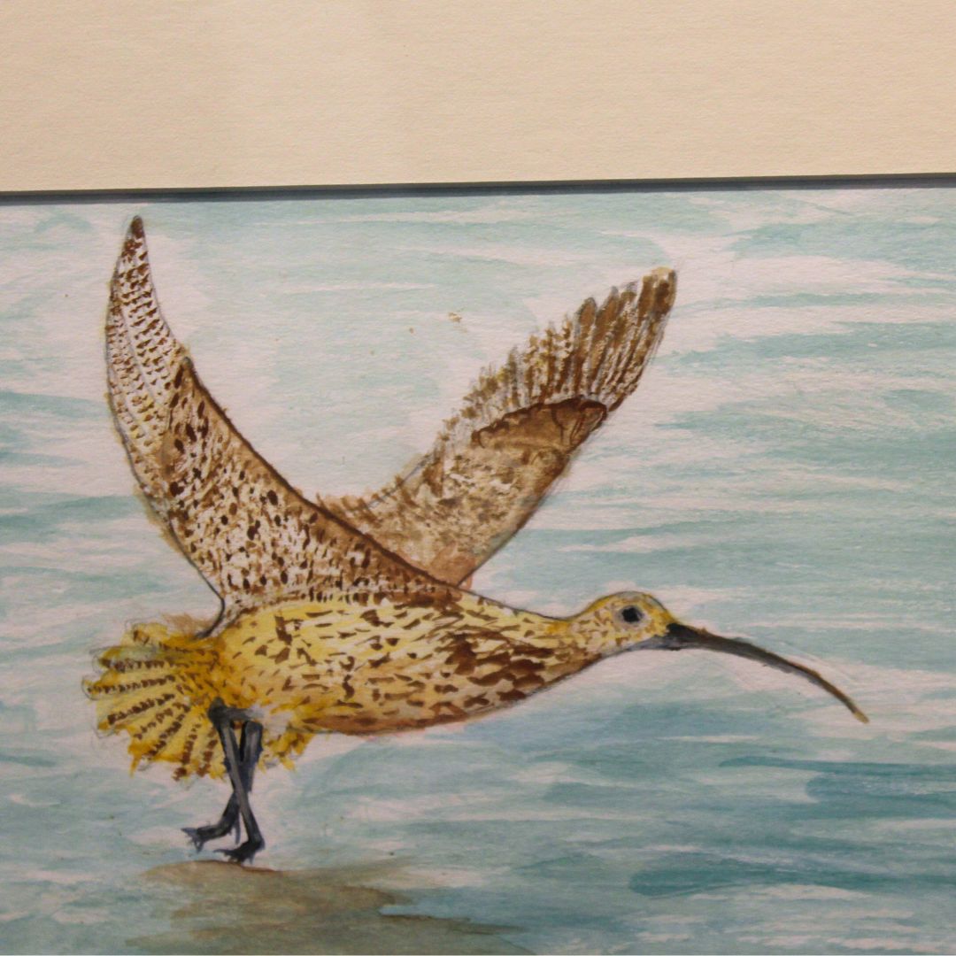 'I want people to know that a curlew is an incredible bird that helps the ecosystem to stay in balance.'

One young artist found inspiration in these wonderful wading birds when entering our #CreativeFreedom exhibition - open now in our Wild Space in Pitlochry!

#WorldCurlewDay