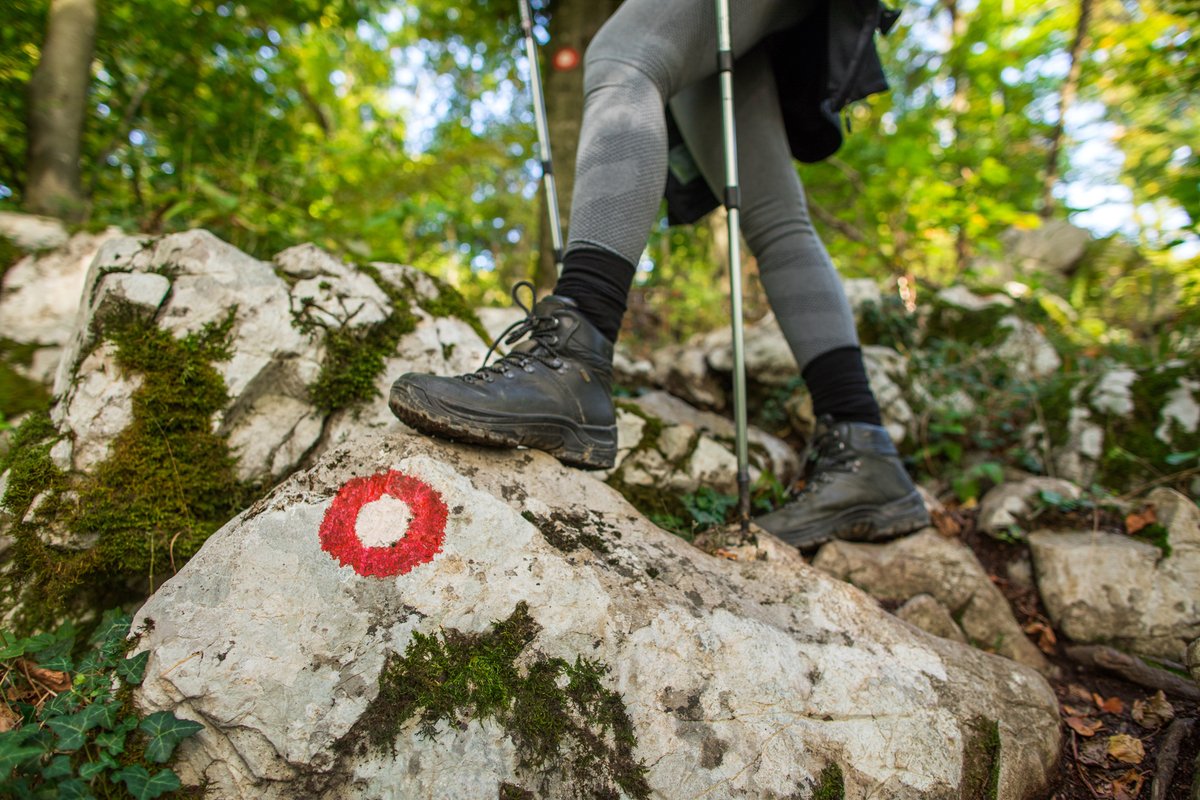 Did you know that the hiking trail marking was established more than 100 years ago? ⭕️ It's called the Knafelc Blaze; follow it and you'll be amazed 😉 📸 Matej Povše #visitljubljana #ljubljana