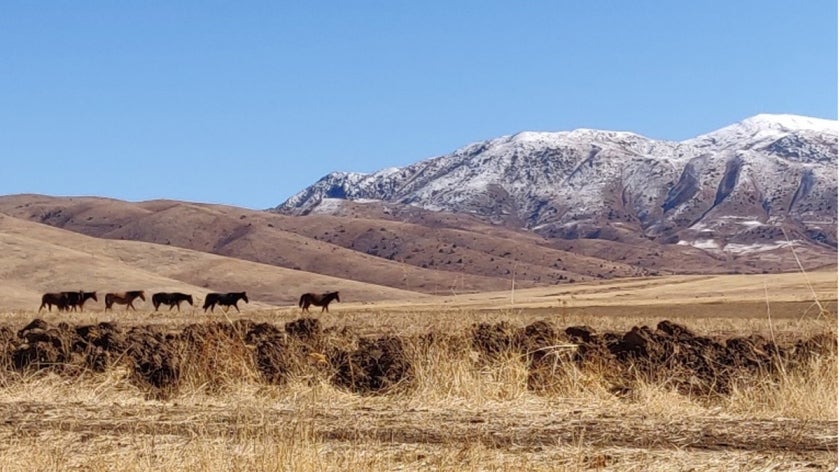 Drylands in Central Asia are some of the most rapidly degrading areas in the world. But hope is not lost.

Discover how @theGEF-supported projects help boost ecotourism and decrease land degradation: wrld.bg/zLYV50Q5Ibx