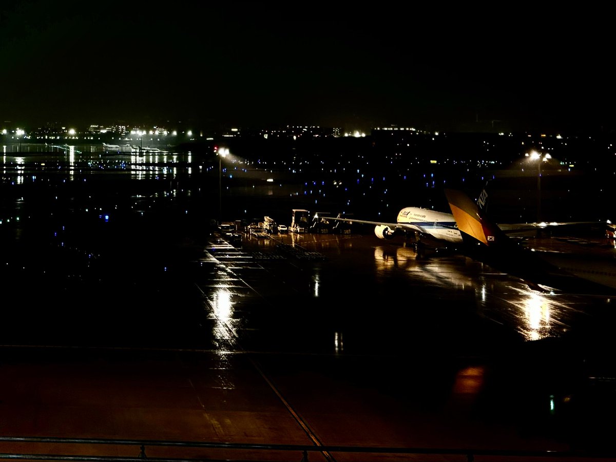 夜の羽田✈️