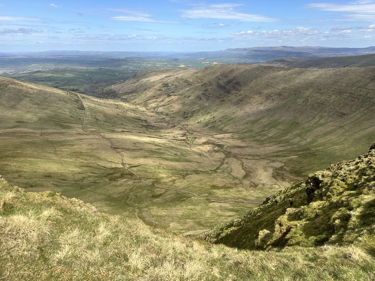 Dylan Murray - Scouts tweet media