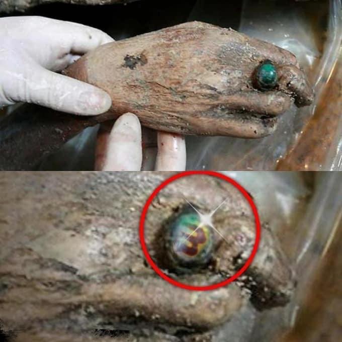 Unveiling the Past: Mystery of the 700-Year-Old Chinese Mummy.

#AncientMummies #ChineseHistory #Archaeology