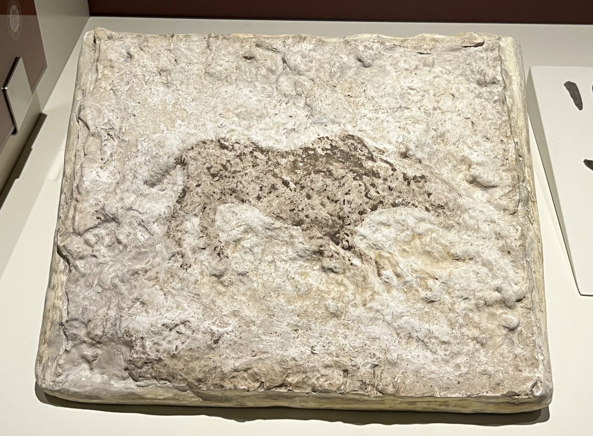 Sunday museum time Real 1/1 gem Name: “Bull relief” Launch date: 6000 BC