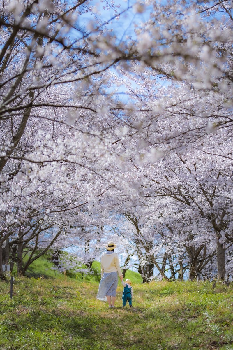 君と見たかった春景色🌸

#福島県 #tokyocameraclub