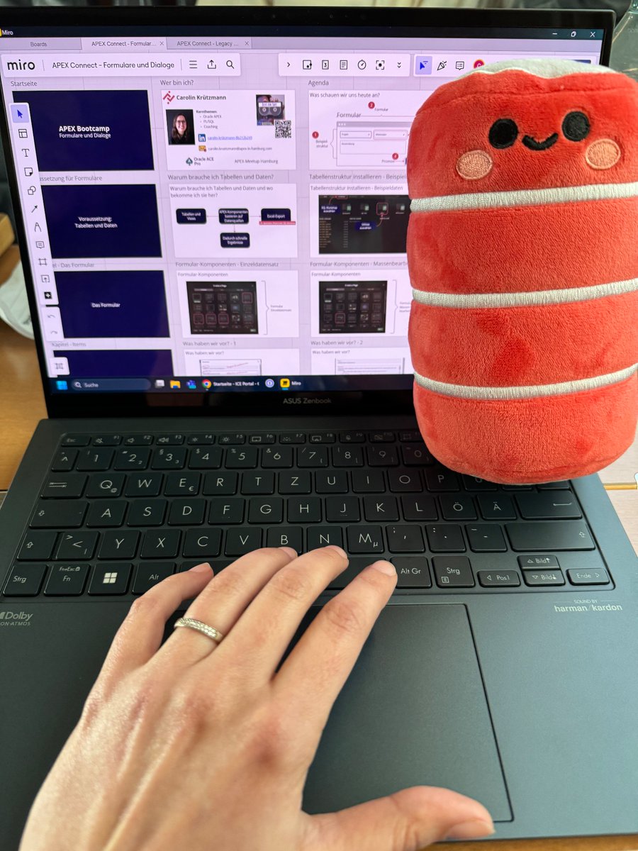 On my way to the #apexconn24. FluffDB is checking my presentation for tomorrow 👍🏻 We will also record some new @DevsOnTape episodes with some special guests 🙌🏻 Stay tuned 🎙️🎧