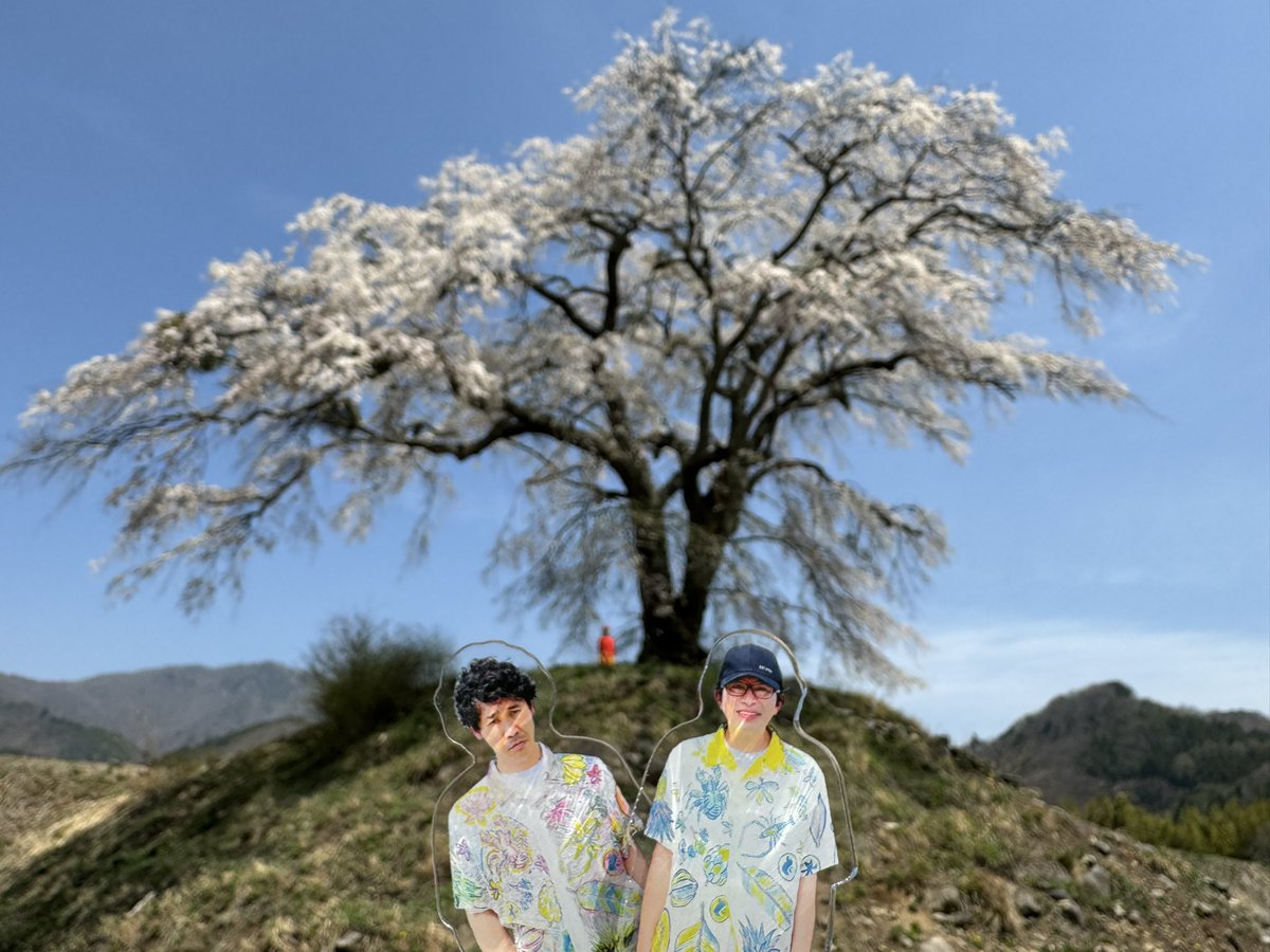 wednesdayonchan's tweet photo. 聖地巡り✨
上発知のしだれ桜、すごく綺麗だった🌸

#水曜どうでしょう https://t.co/lklnhlerdl