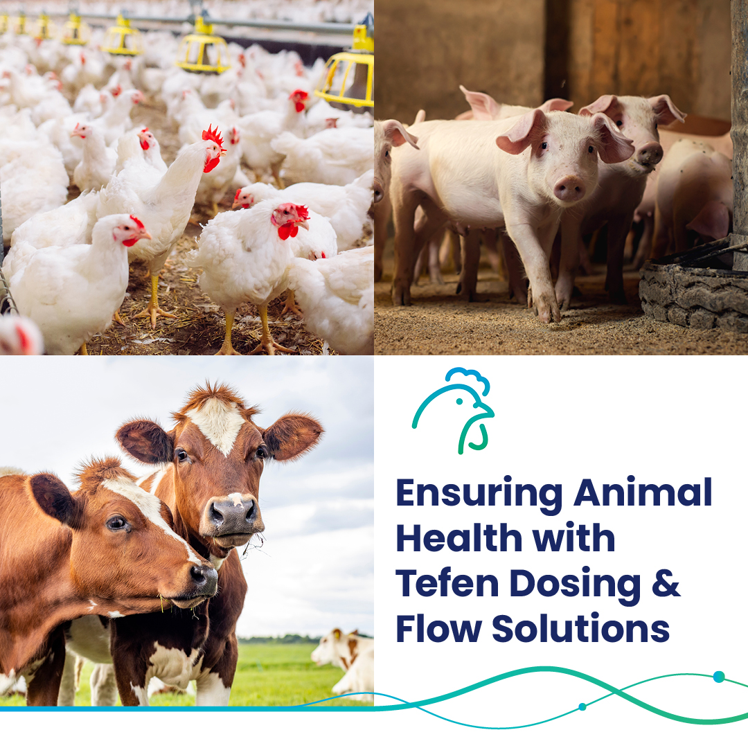 To ensure #animalhealth, Tefen has a full range of dosing & flow solutions that can be used for various applications such as feed additives; water treatment; cooling, misting & dust control; and disinfection & hygiene 👉 tefentech.com/wp-content/upl…