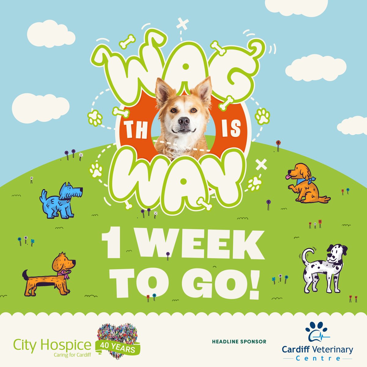 🐾 JUST 1 WEEK TO GO! Wag this Way will be in full swing next week 🐕 Haven't grabbed your spot for our 5km dog walk &amp; festival? Do it now! Online registration closes Wednesday at 5pm. Don't let your pup miss out! 💚 Join us: bit.ly/42CB4Um