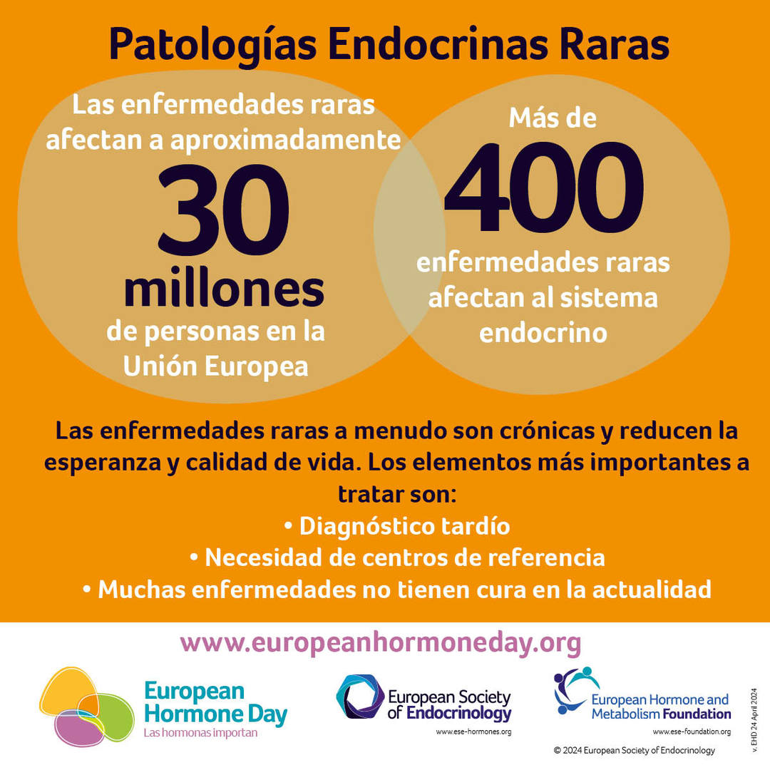 sociedadSEEN's tweet photo. 🙌 24A #DíaEuropeodelasHormonas @ESEndocrinology Europea de Endocrinología ⏺ las #patologías #endocrinas raras afectan a 30M de personas en la UE. Por un diagnóstico temprano, más centros de referencia e investigación.
#BecauseHormonesMatter
👁🗨 https://t.co/Ye1dpRLPy6 https://t.co/pZe3MZWJiE
