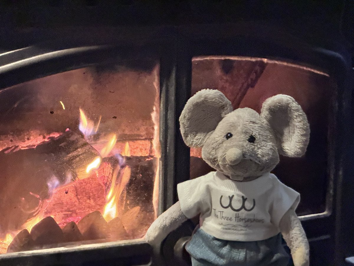 Warming my cockles and tail by the welcoming fire at The Three Horseshoes. #threehorseshoes #hinxworth