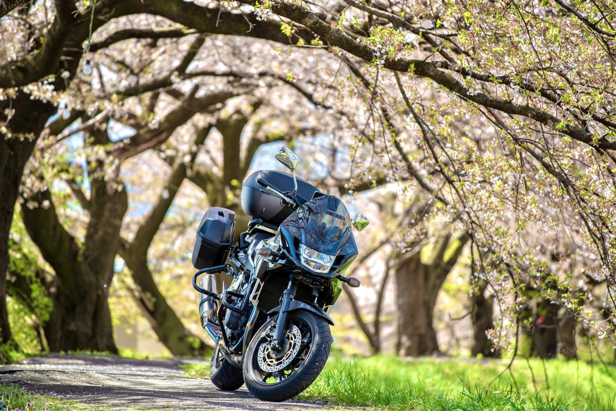 CB400_1300SB's tweet photo. ここ最近で1番いい写真がこちら
もう少し時期が早ければ桜が綺麗だったかなと。 https://t.co/YfzHUn3TbO