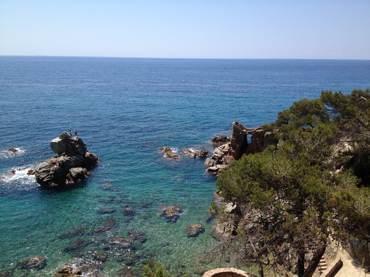 Lloret de Mar, Spain❤️
Check out this item on OpenSea
opensea.io/assets/matic/0…

#NFTcollector #NFTs #NFT #OpenSeaNFT #openseanfts #OpenSeaMarket #photography #nature #NaturePhotography #nftphotographer #nftphoto #photographers