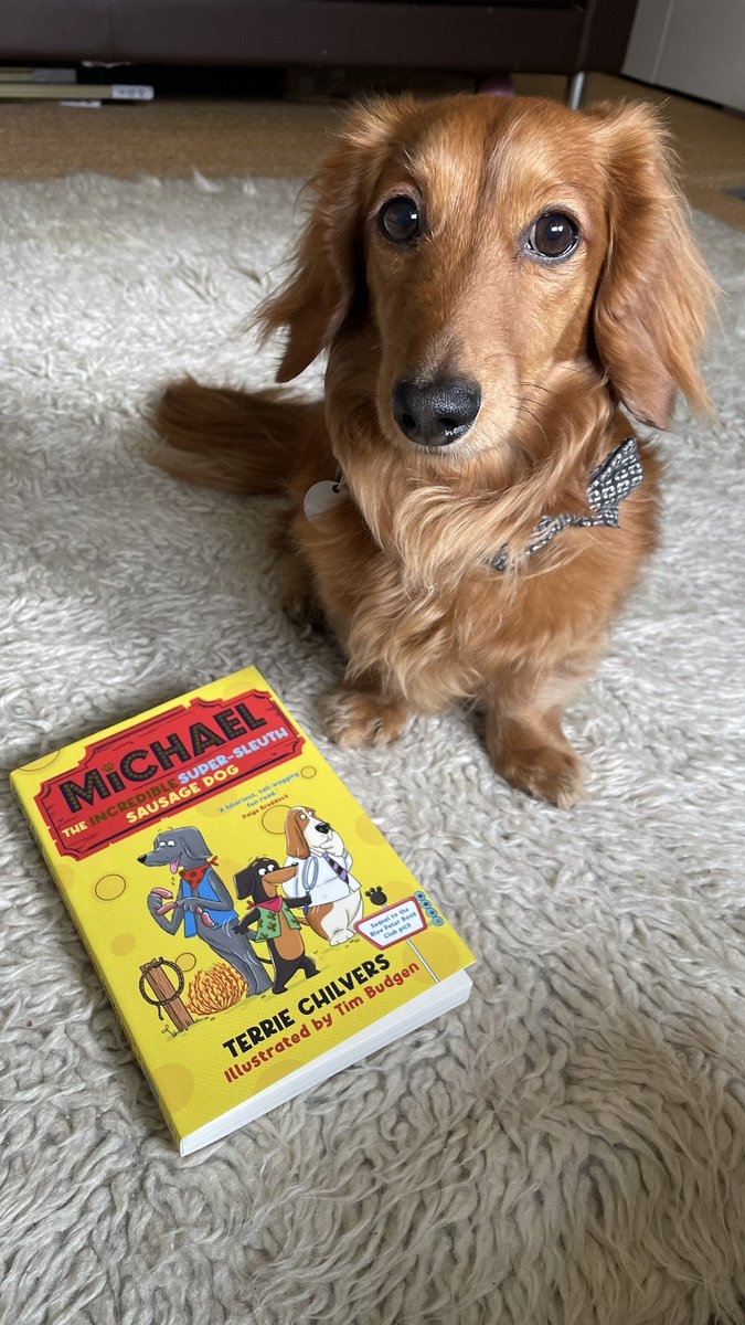 Michael 2 copies have arrived and it just so happens I have the perfect guest here for a photo shoot 🤩 Michael the Incredible Super-Sleuth Sausage Dog will be out on May 2nd. 100% approved by Sedwig 🥰 #kidlit #hollywoof #funnychildrensbooks