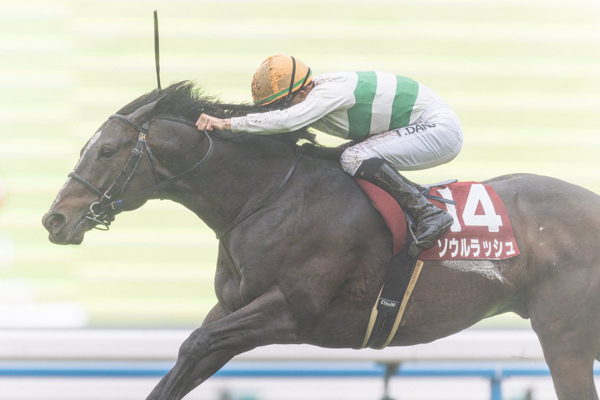 RulerRulership's tweet photo. G2マイラーズCを制したソウルラッシュと団野J

想いはひとつ、マイル王への道

#ルーラーシップ産駒 https://t.co/G6gtpClg1f